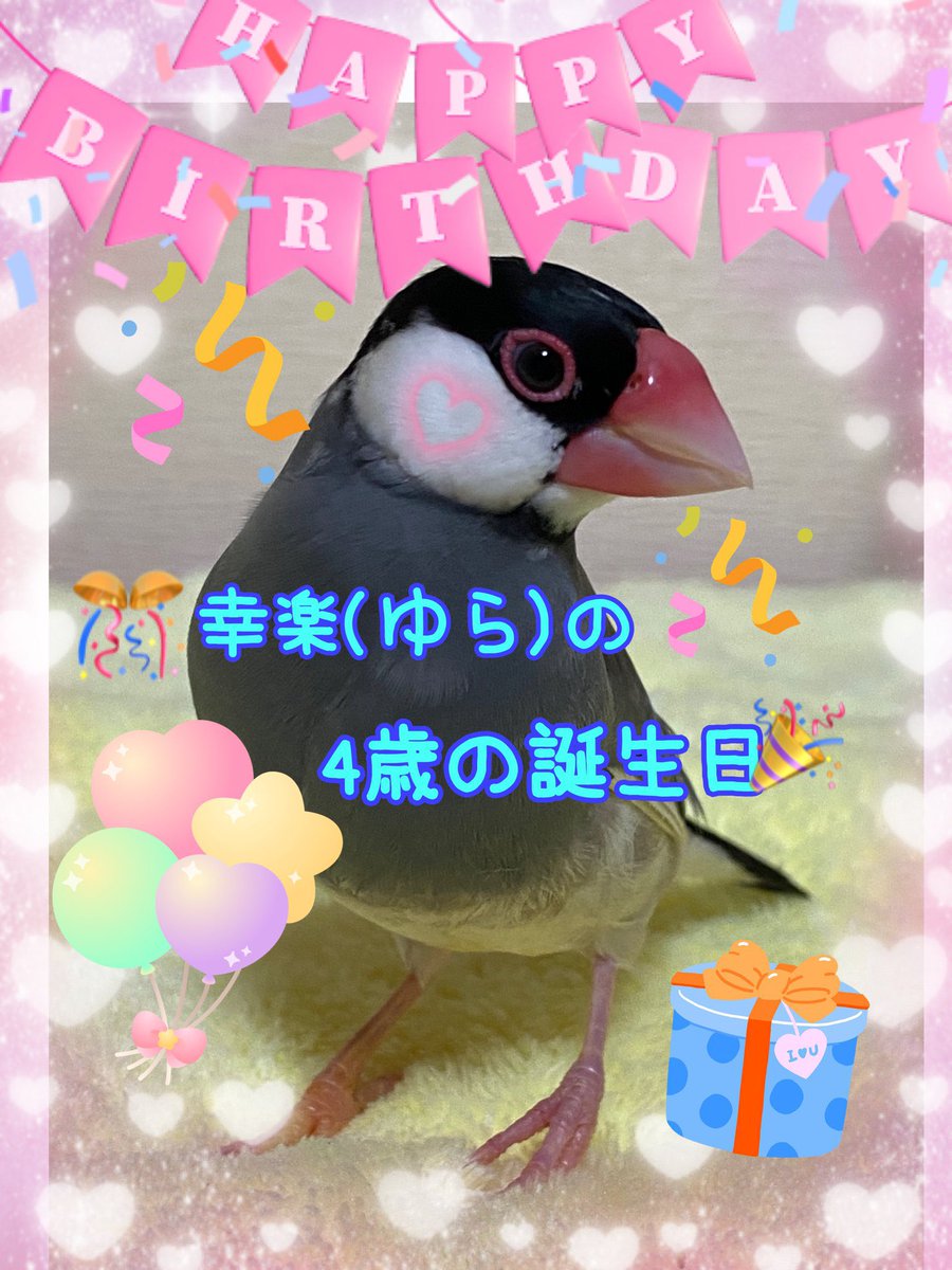 友と文鳥ｽﾞ°ʚ(•ө•)ɞ° (@97k31) / Posts / X