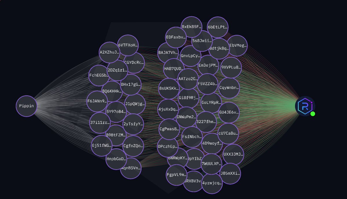 ALfant_'s tweet image. An fresh entity of 40 wallets now holds 566.002M of $PIPPIN tokens (≈ $36M at current prices), withdrawing from both #Gate and #Bitget