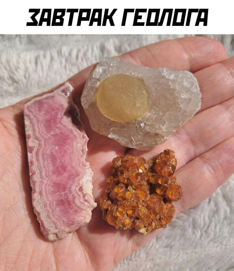 Gribanov's tweet image. 