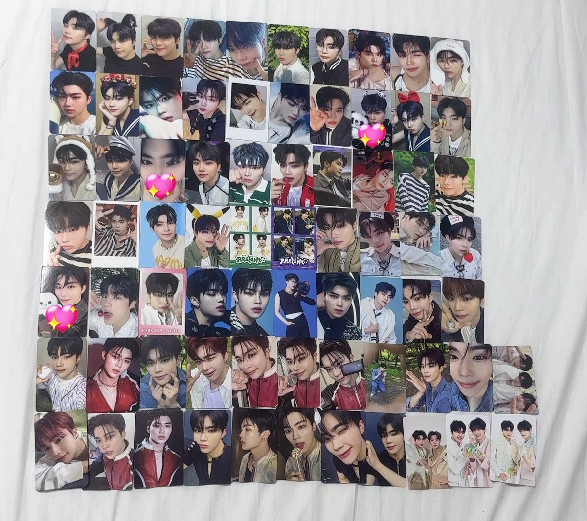 🐻‍❄️ tweet media