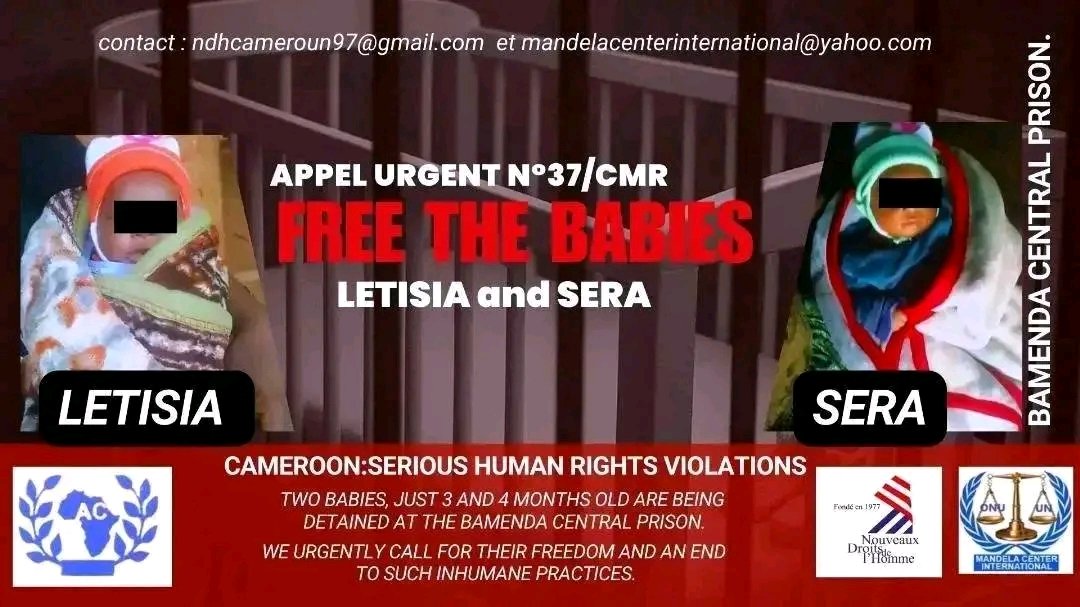 AmaduTarnteh's tweet image. We keep advocating for the release of 2 baby girls (3&amp;amp;4 months),their mothers, grandmother, and uncle, arbitrarily detained at Bamenda Central Prison since June 2025.They were tortured at Ndop Gendarmerie Brigade.Authorities must release them unconditionally! #EndAnglophoneCrisis