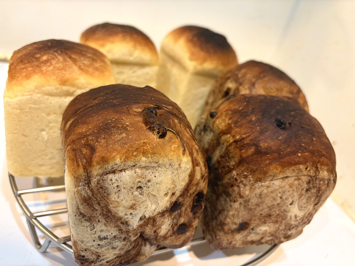 小鳥遊七星💭11/27秋葉原GOODMAN (@nanase_t_0826) / Posts / X