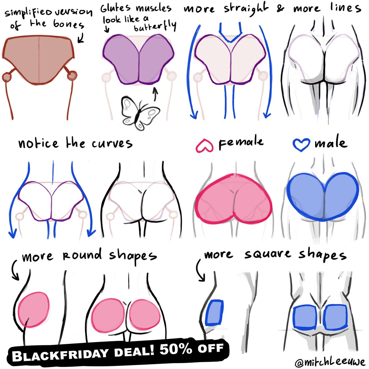 MitchLeeuwe's tweet image. A tread about my anatomy course! And its blackfriday. Meaning 50% off my ebook and video course!