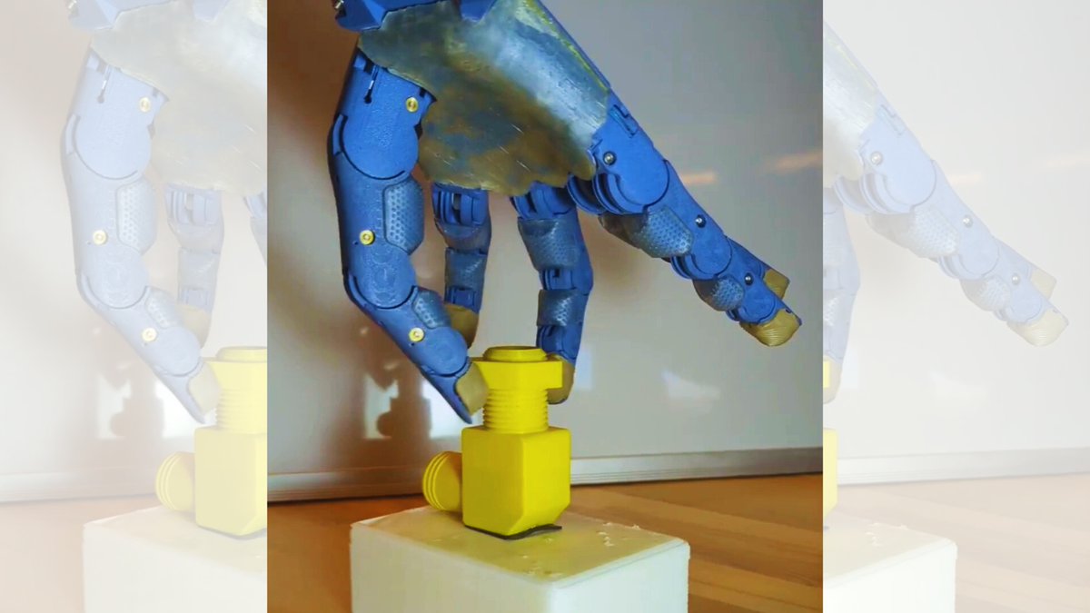 Gustav Andersson (@anatomyumea) / Posts / X