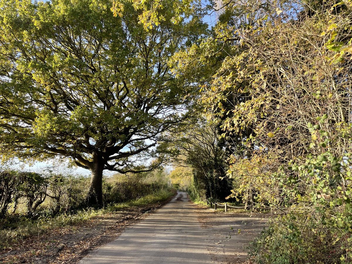 Nikki de Villiers 🩵 tweet media