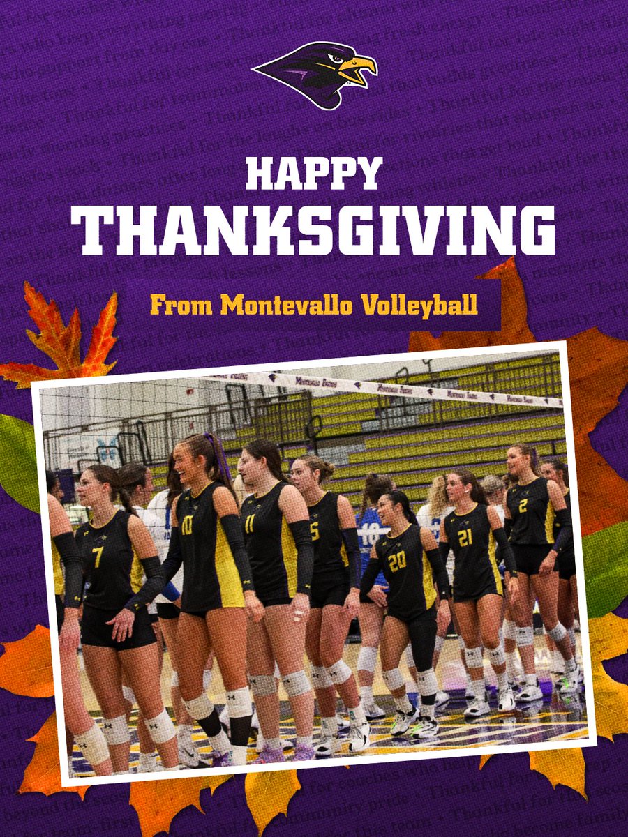 Montevallo Volleyball tweet media