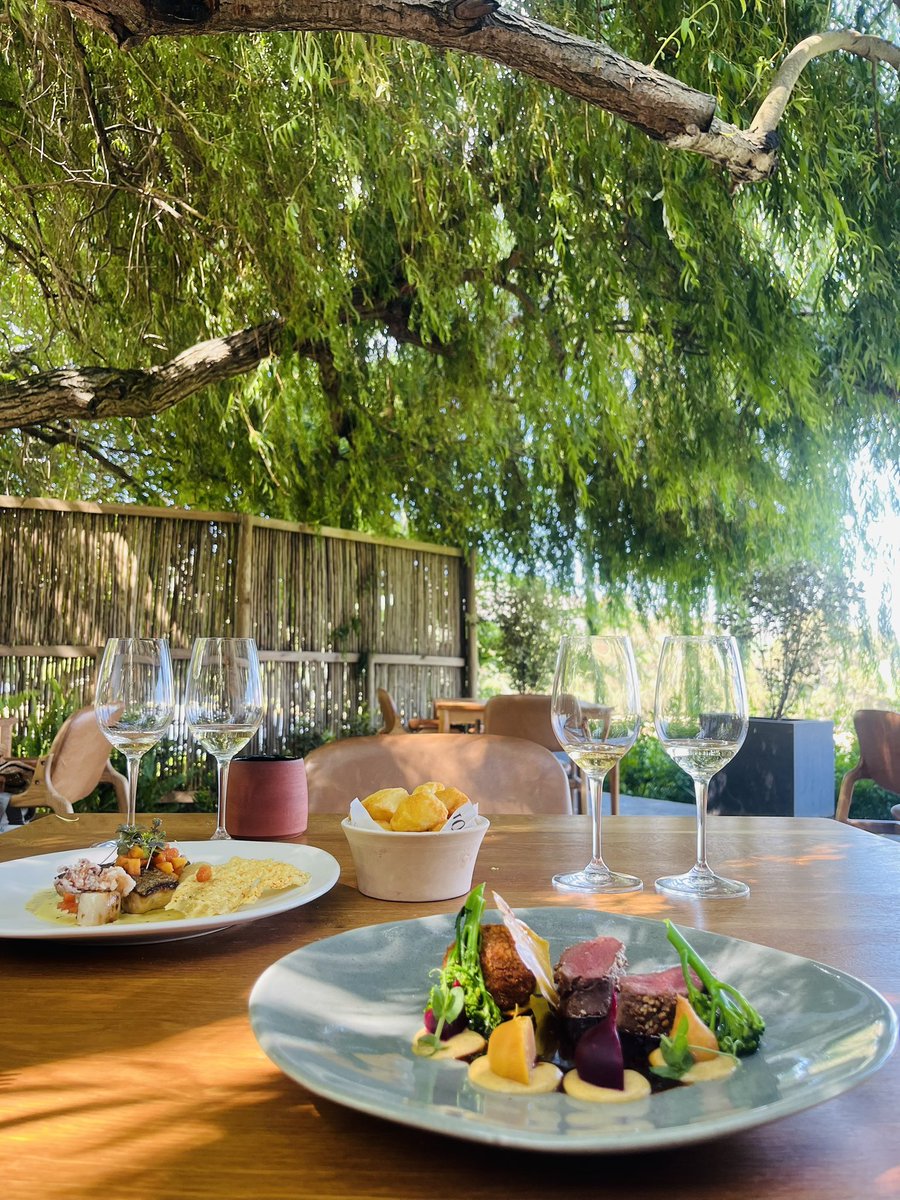 WINE LOVER 🍷 tweet media