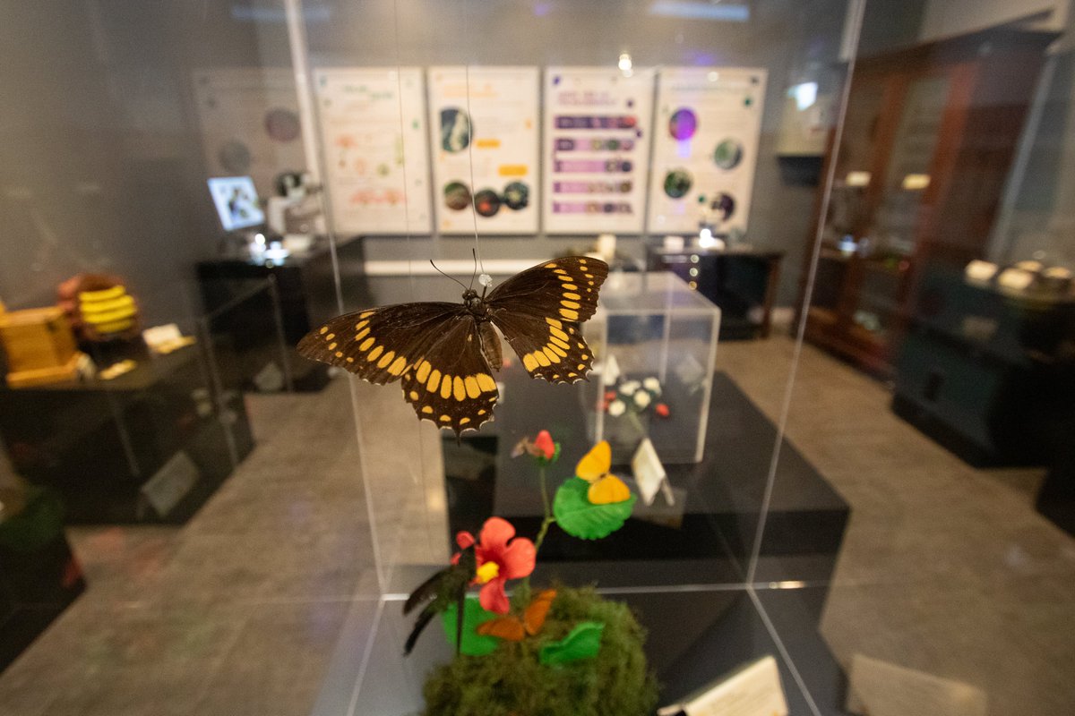 Univates tweet media