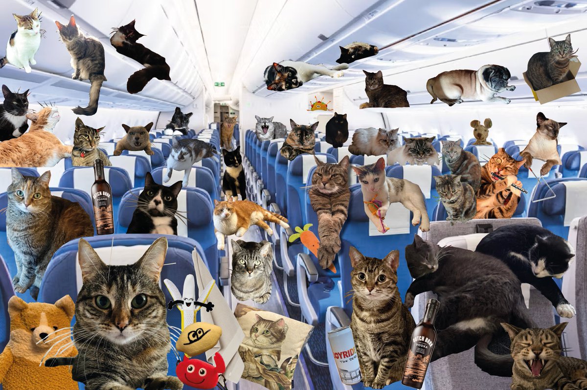 GonzotheCat1's tweet image. Look behind you, uncle Ricky... we couldn't let you do your final shows alone!!!! @rickygervais #Mortality