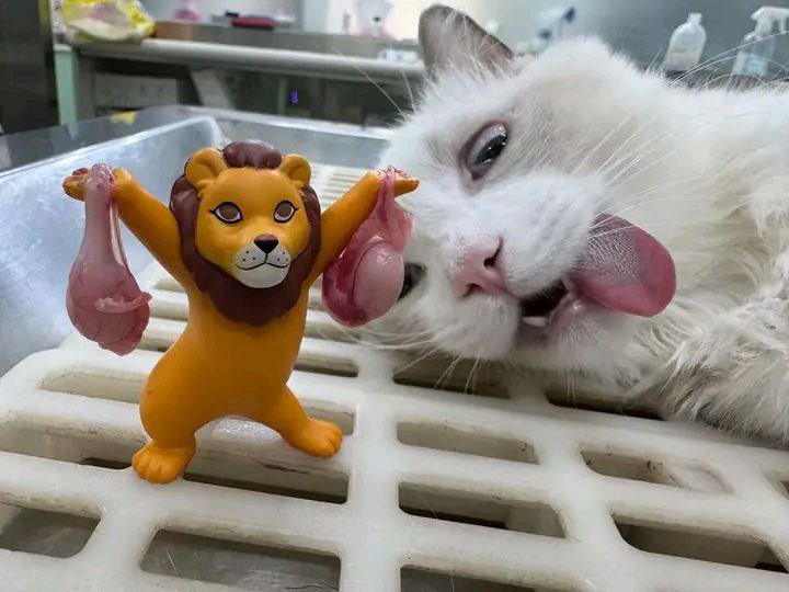 NeoMexican_pol_'s tweet image. 