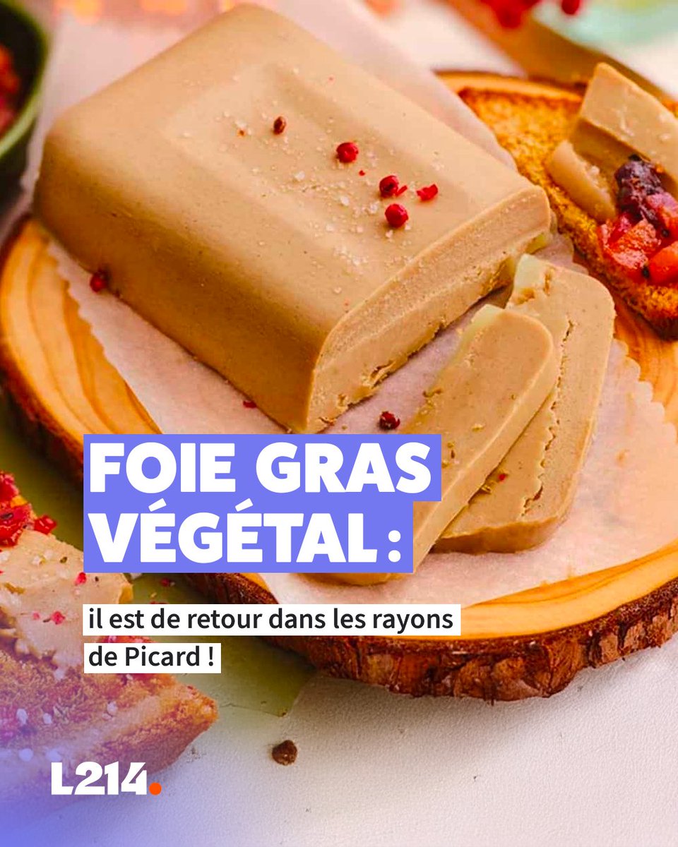 L214's tweet image. Il est de retour! 🥳   

Cette année encore, @picardsurgeles nous fait le plaisir de proposer cette délicieuse alternative au foie gras, 100% sans cruauté animale.

À mettre sur toutes les tables de fêtes (et même avant si vous êtes comme nous 🤭)