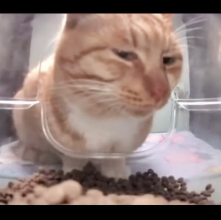 tacbaconpatches's tweet image. What do you mean that BFCM is this weekend and I still haven&apos;t come up with an idea for the sale or an advertisement yet?