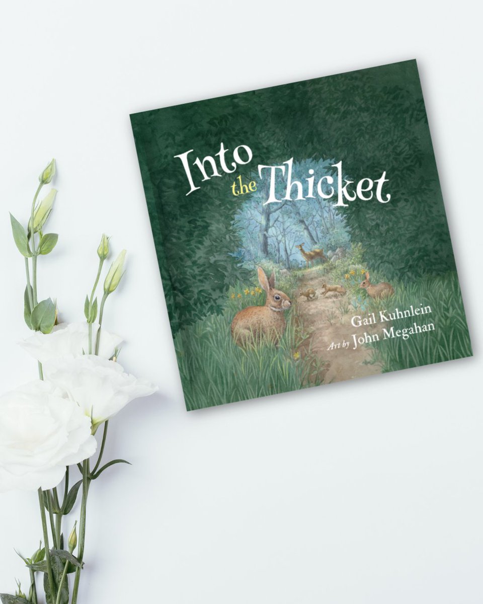 Discover Into the Thicket, read the author interview, and enter a giveaway here - #sponsored lifeiswhatitscalled.blogspot.com/2025/12/into-t… <a href="/TCBRbookreview/">Bianca Schulze: TCBR</a> #intothethicket sponsored by Gail Kuhnlein  #childrensbooks #chapterbook
