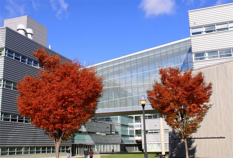 Ohio State MAE tweet media