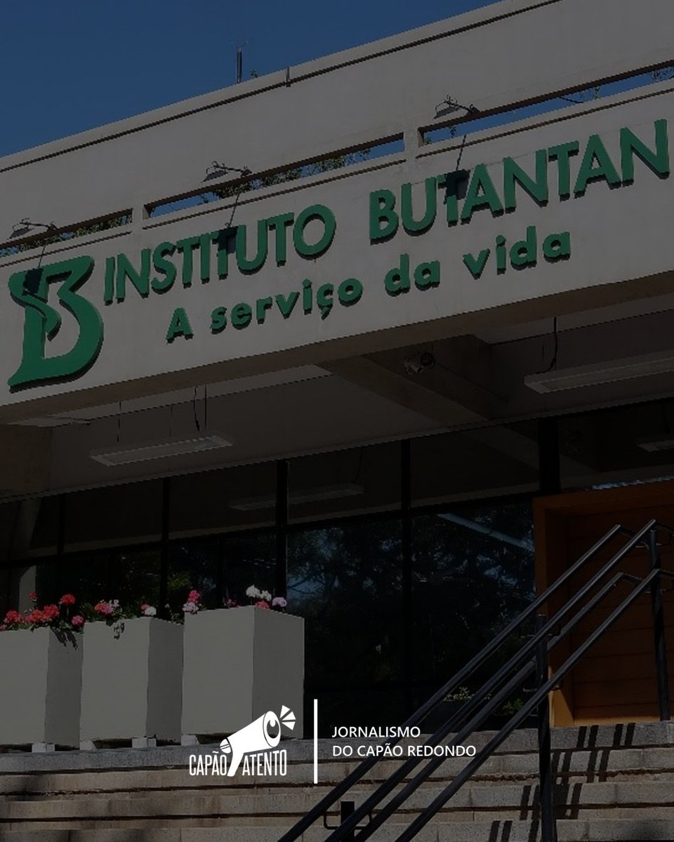 CapaoAtento's tweet image. Vacina contra dengue do Butantan é aprovada pela Anvisa; 1ª de dose única no mundo.A Anvisa aprovou nesta quarta (26) o imunizante Butantan-DV, autorizado para pessoas de 12 a 59 anos. 

#CapãoAtento | Jornalismo do Capão Redondo.