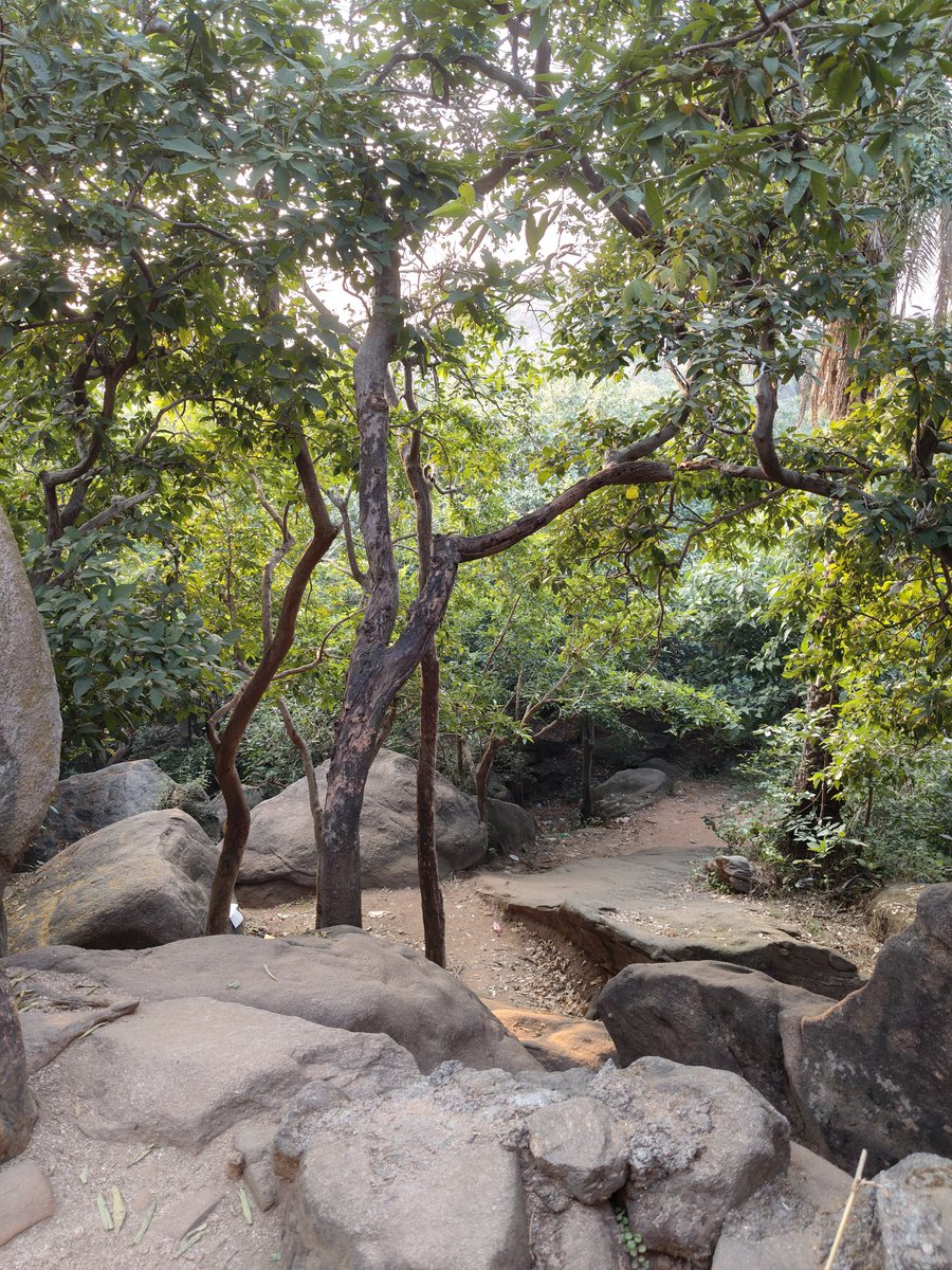 It's may be 
            
            Piece of Life
                     Or
            Peace in Life 😌

Nature 🍂