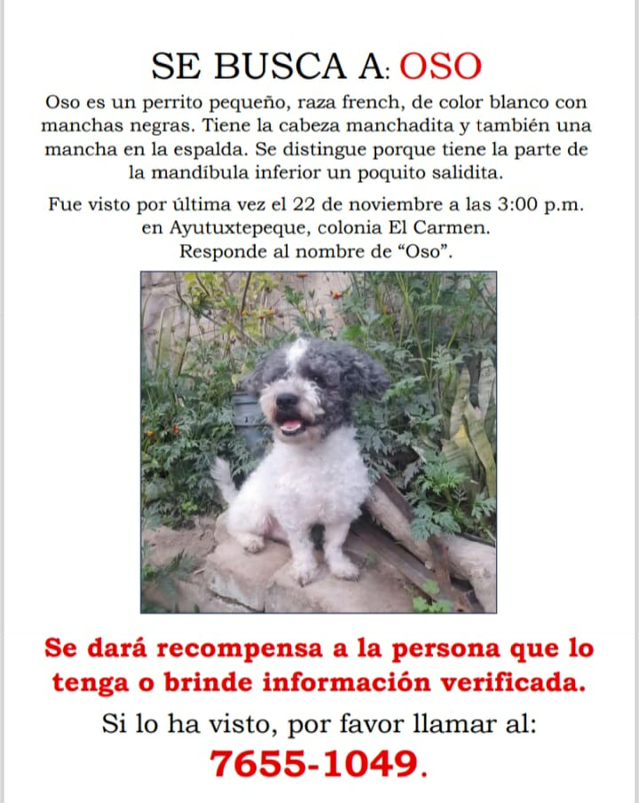 lyssitta's tweet image. SERVICIO SOCIAL✅️
#SEBUSCA 📣
#EXTRAVIADO ‼️
