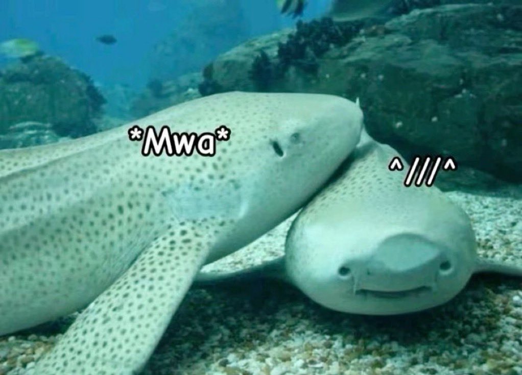 tagyourwho's tweet image. 