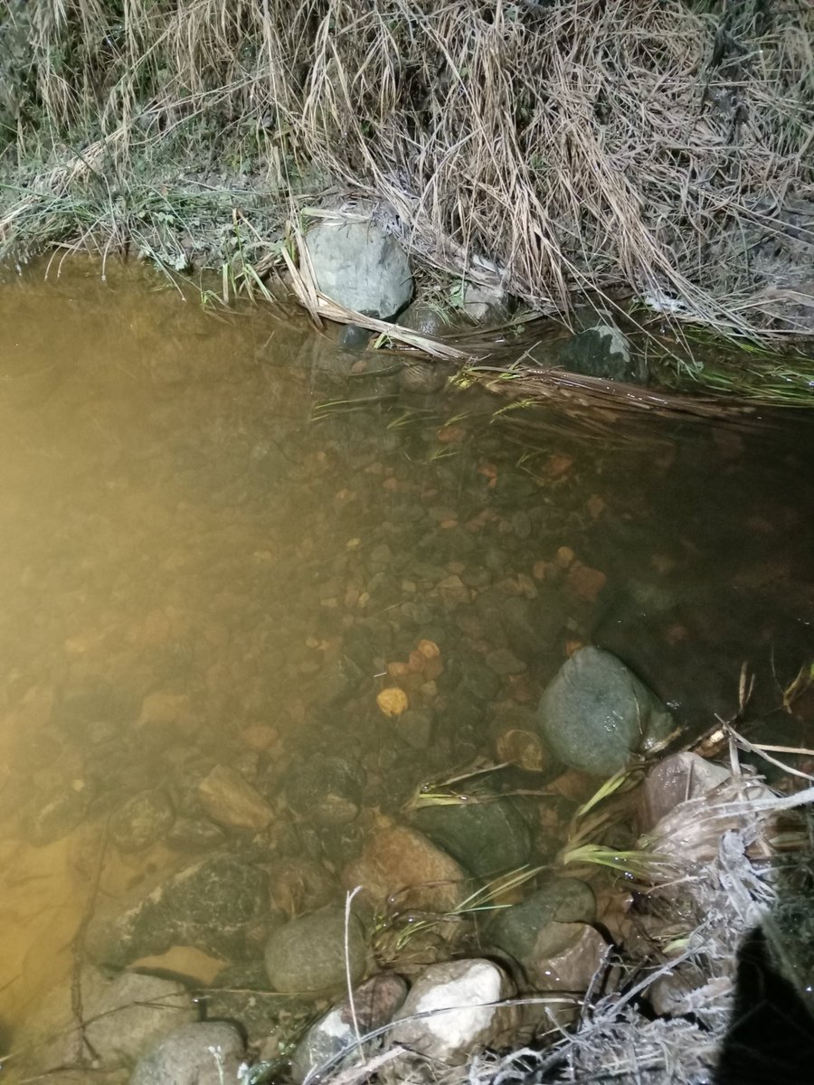 river_savers's tweet photo. Käytiin illasta @aleksipaakki kanssa 📸 kuvaamassa kudetut soraikot joita on yhteensä 6 kpl. 
Kuvien myötä kuduntarkaillu sai hienon päätöksen tälle kaudelle ja ensi vuonna jatketaan taas töitä 💙🐟. #kudettusoraikko #meritaimen #havsöring #trout #virtaavatvedet #seurantaa https://t.co/4XXLm08uTZ
