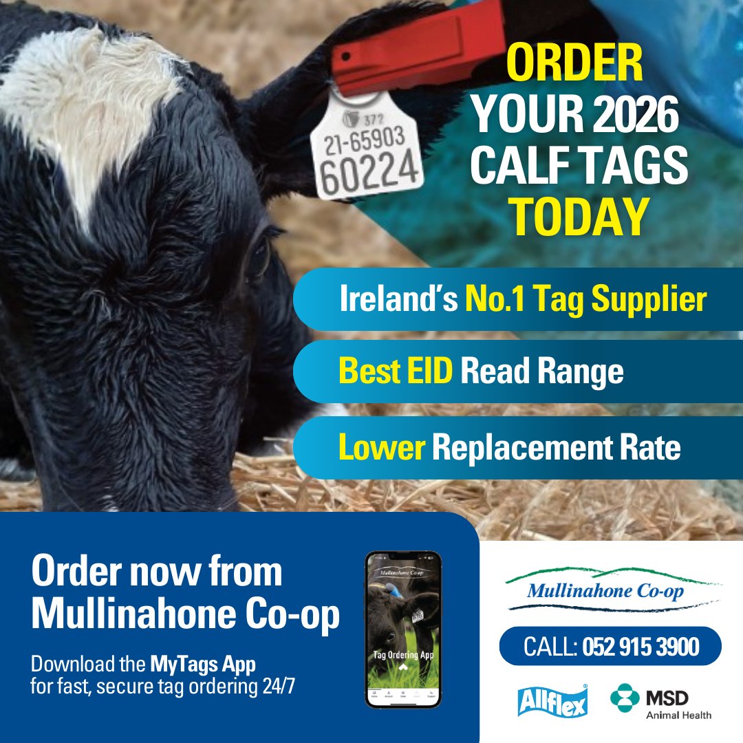 🐄⏰ Calving 2026 is almost here!

Make sure you’re ready for your new arrivals by ordering your calf tags from <a href="/MullinahoneCoop/">Mullinahone Co-op</a>.

📱 Download the MyTags app
💻 Order online: tags.mullinahonecoop.ie/ots/#/products
📞 Call 052 915 3900

#Calving2026 #CalfTags