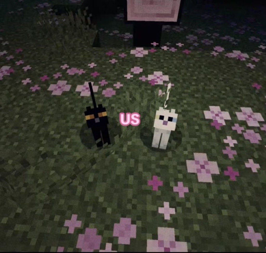 tagyourwho's tweet image. 