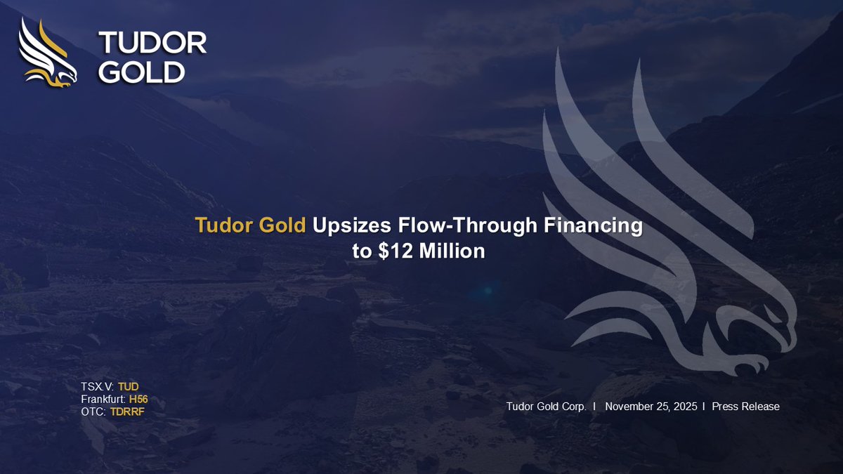 Tudor Gold Corp. tweet media