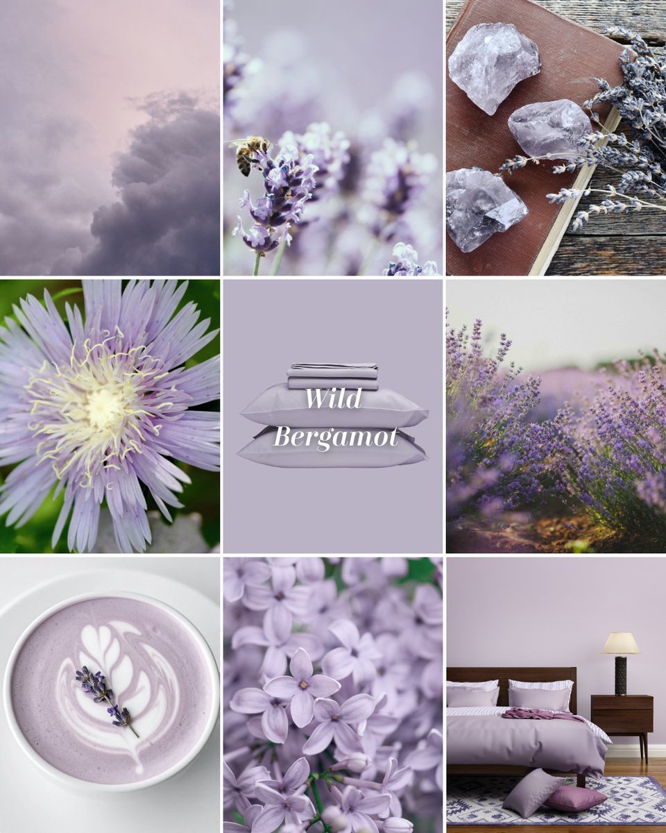 Naturepedic's tweet image. Wrap yourself in the soft luxury of Wild Bergamot – a serene light purple that turns every night into an indulgent escape.

Wild Bergamot is available in our Percale fabric.

Shop the sale! naturepedic.com/black-friday-s…
#Percale #WildBergamot #BeddingInspo #BlackFridaySale