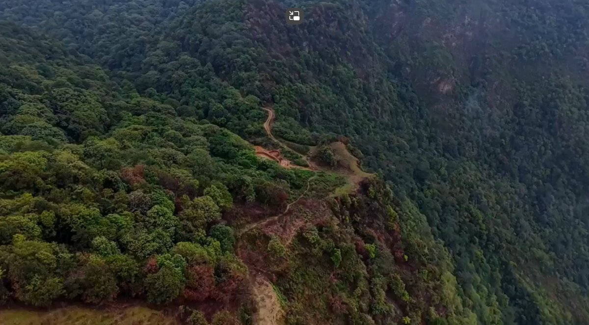 Friends of EbA (FEBA) tweet media