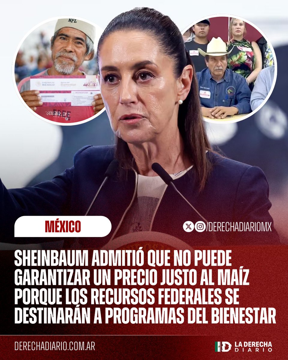 DerechaDiarioMX's tweet image. 🇲🇽 | NOMÁS HAY PARA SUS SOLOVINOS: La inservible Caudia Sheinbaum admitió que su gobierno no puede garantizar un precio justo para los productores de maíz debido a la falta de recursos federales, ya que se destinarán mil millones de pesos a programas del Bienestar el próximo año.