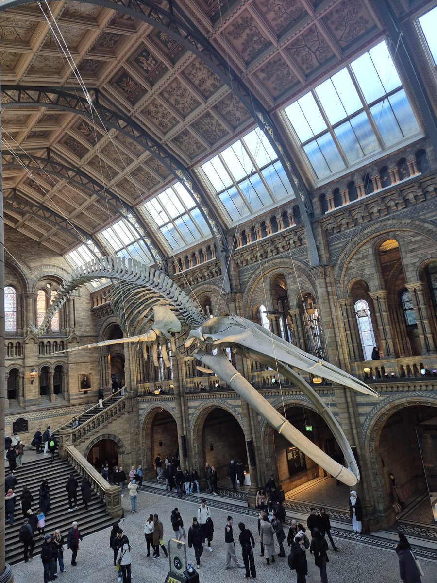 Laurel Hill Coláiste tweet media