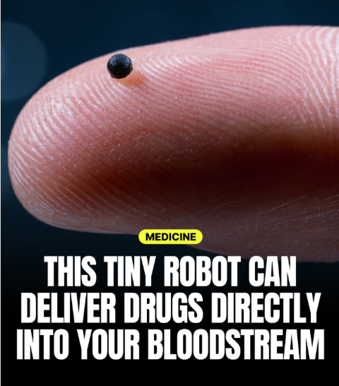Rainmaker1973's tweet photo. Forget pills – this microrobot delivers drugs directly inside the brain.

Scientists at ETH Zurich have created a minuscule, steerable microrobot that could revolutionize stroke treatment by delivering drugs directly inside the brain’s blood vessels.

Barely wider than a millimeter, the robot is a soft, biodegradable gel capsule filled with medication and laced with magnetic nanoparticles. Doctors can guide it remotely through arteries using powerful external magnets, navigating even the narrowest, fastest-flowing vessels in the brain.

When the capsule reaches the precise spot—such as a clot causing a stroke—a targeted high-frequency magnetic field gently warms it, melting the gel and releasing the drug exactly where it’s needed, with almost no spillover into the rest of the body.

The system has been successfully tested in realistic models of human blood vessels and in live pigs and sheep. To make the robot visible under medical imaging, the team added safe heavy-metal contrast agents.

Current stroke treatments often require flooding the entire body with potent clot-busting drugs, which can cause dangerous bleeding elsewhere. This precision approach could dramatically lower those risks while improving outcomes.

Navigating the bloodstream is extraordinarily difficult—the heart’s forceful pumping creates turbulent, high-pressure conditions—but the Swiss team solved this with an advanced hybrid magnetic control system that keeps the robot stably on course.

Still in the preclinical stage and not yet tested in humans, the technology nevertheless marks a major step toward minimally invasive, highly targeted therapies for strokes, brain tumors, aneurysms, and other conditions that are currently almost impossible to treat precisely from inside the body.