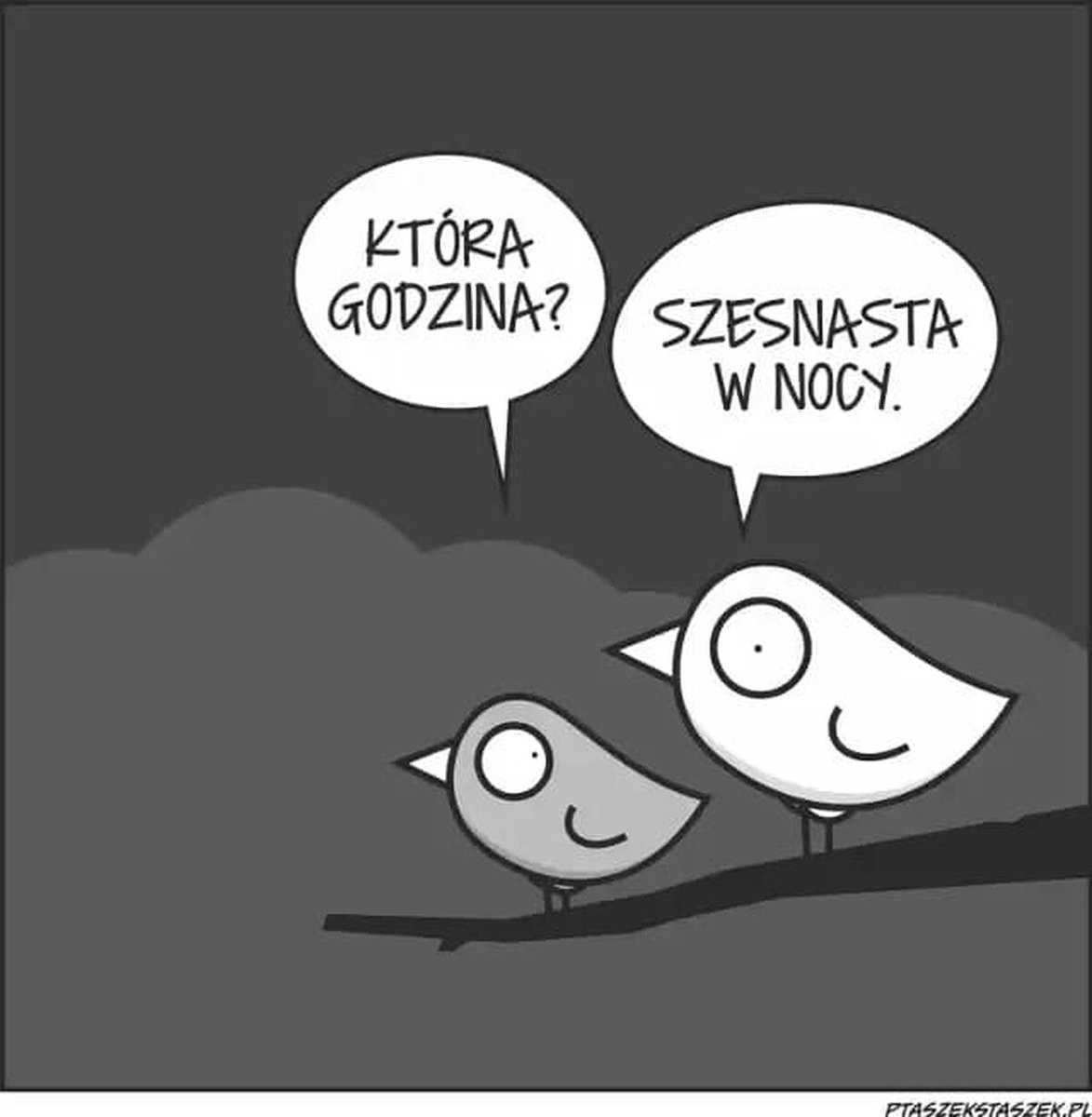 Kaska K💙💛🇪🇺 (@kasiek19791202) on Twitter photo 