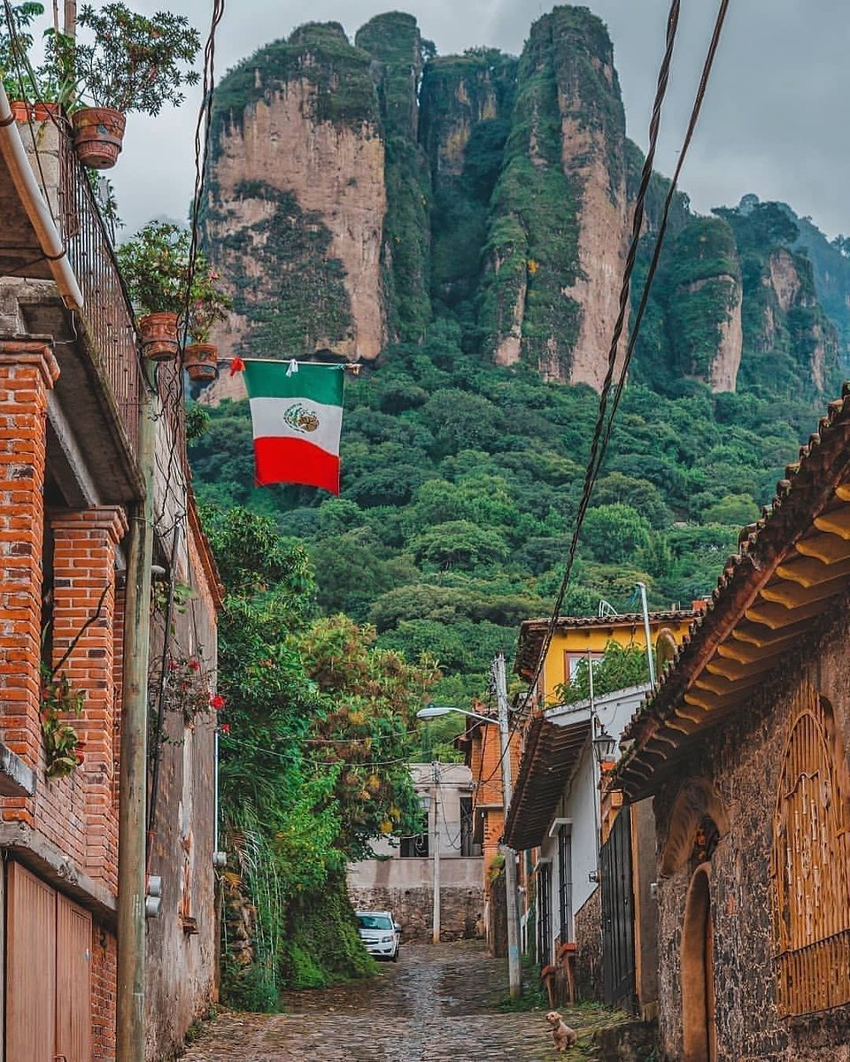 🇲🇽POVMEXICO tweet media