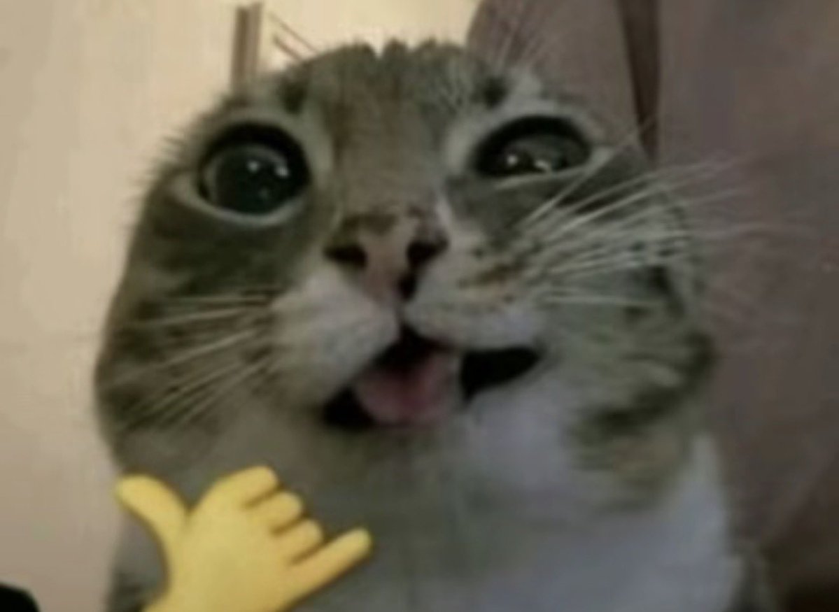 ictfb_'s tweet image. #promotwt 
𓏲⠀ ：ྀི    angel  ✝︎  angie⠀ ⠀ ̣̣̣ ͜𓏫
  ۪    𓏼 ͜͜✚  6teen    .     mirror prns !!⠀⠀⠀⠀.
                 ♡ and ↻ for moots
  ：#edtwt #shedtwt 𓏴⠀ ⁰⁰ ⁰⁰ 
(thank you @g4rmr )