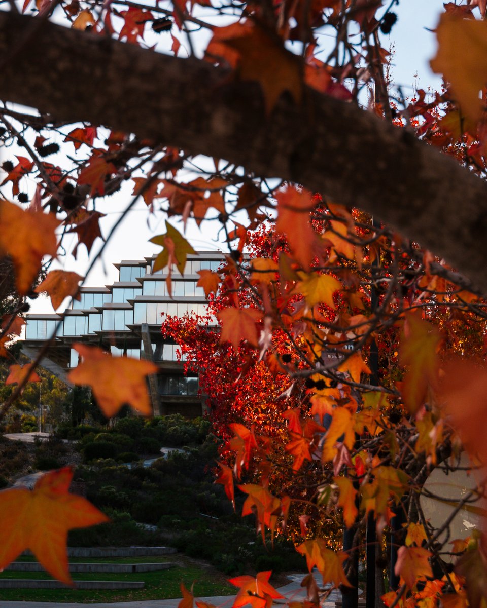 GPS_UCSD's tweet image. .@UCSanDiego will be closed Thursday, Nov. 27 and Friday, Nov. 28. Enjoy your Thanksgiving holiday!