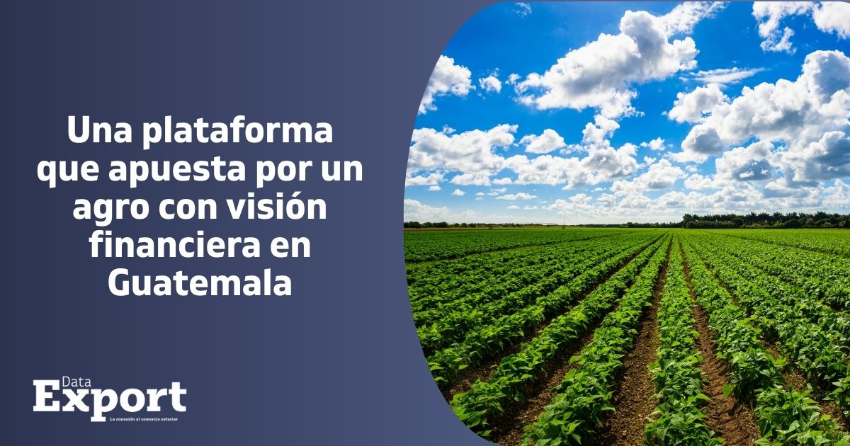 AGEXPORTGT's tweet image. #DATAExport🚀| Una plataforma que apuesta por un agro con visión financiera en Guatemala.

Conócela aquí⬇️
dataexport.com.gt/bv3e