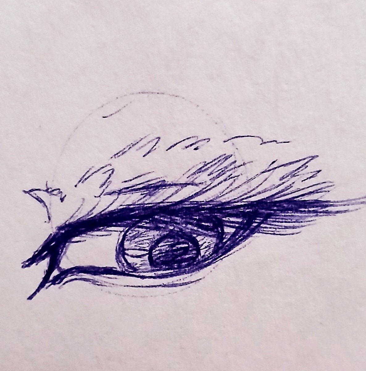 MikaCapde's tweet image. ✨️Bocetitos✨️

✨️🫶🏻✨️🫶🏻✨️🫶🏻✨️🫶🏻✨️🫶🏻✨️

#sketch #sketches #dibujo #traditionaldrawing #corbeau #fanart #oc #pokemon