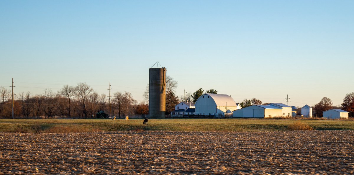 desolangels's tweet image. 