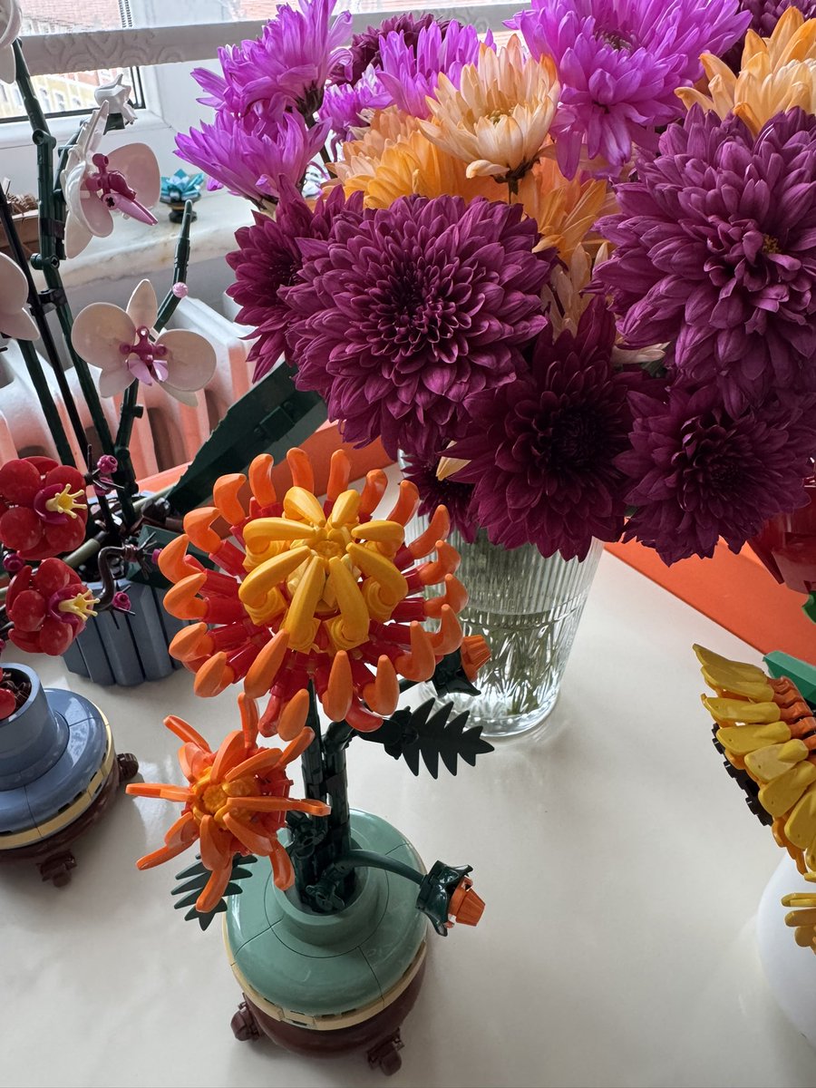 arcadiablisss's tweet photo. kasımpatı tutulması🧡✨🏵️ https://t.co/Zft6JRvuoj