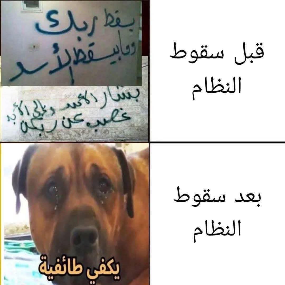 قبل سقوط النصيري 
بعد سقوط النصيري 

عكلٍ ما الحق عليكم يا نصيرية الحق على من قال لكم اذهبوا فأنتم الطلقاء !!