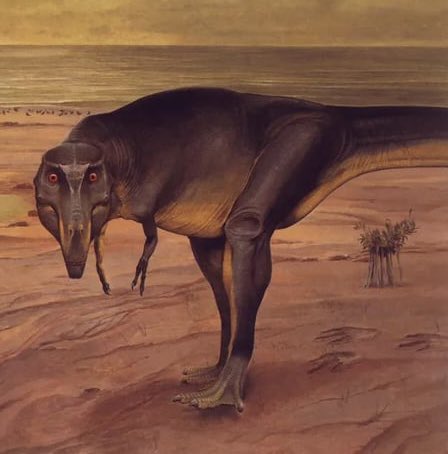 chadthedad7's tweet image. They knew what they were doing