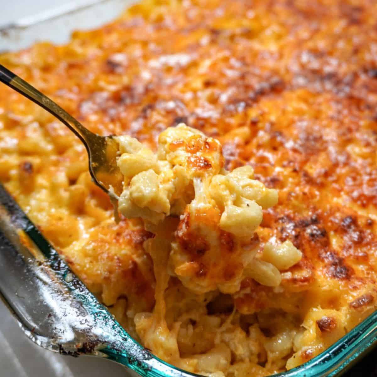 droppedballs_fb's tweet photo. One Thanksgiving side has to go forever, cornbread, macaroni and cheese, candy yams🍠, or mashed potatoes. Which one you getting rid of? https://t.co/A1yLWt1k63