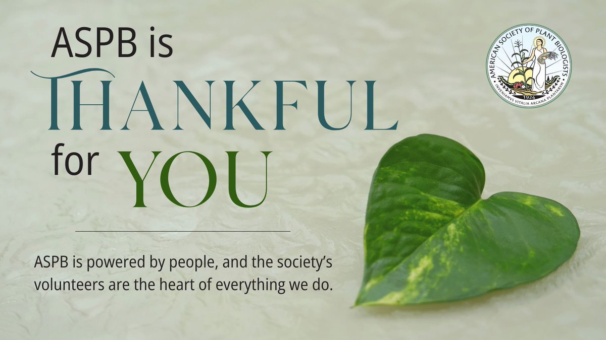 ASPB's tweet image. In a season of gratitude, we reflect on our ASPB volunteers whose service powers everything we do. Your dedication is the cornerstone of our society. Thank you. 🌱