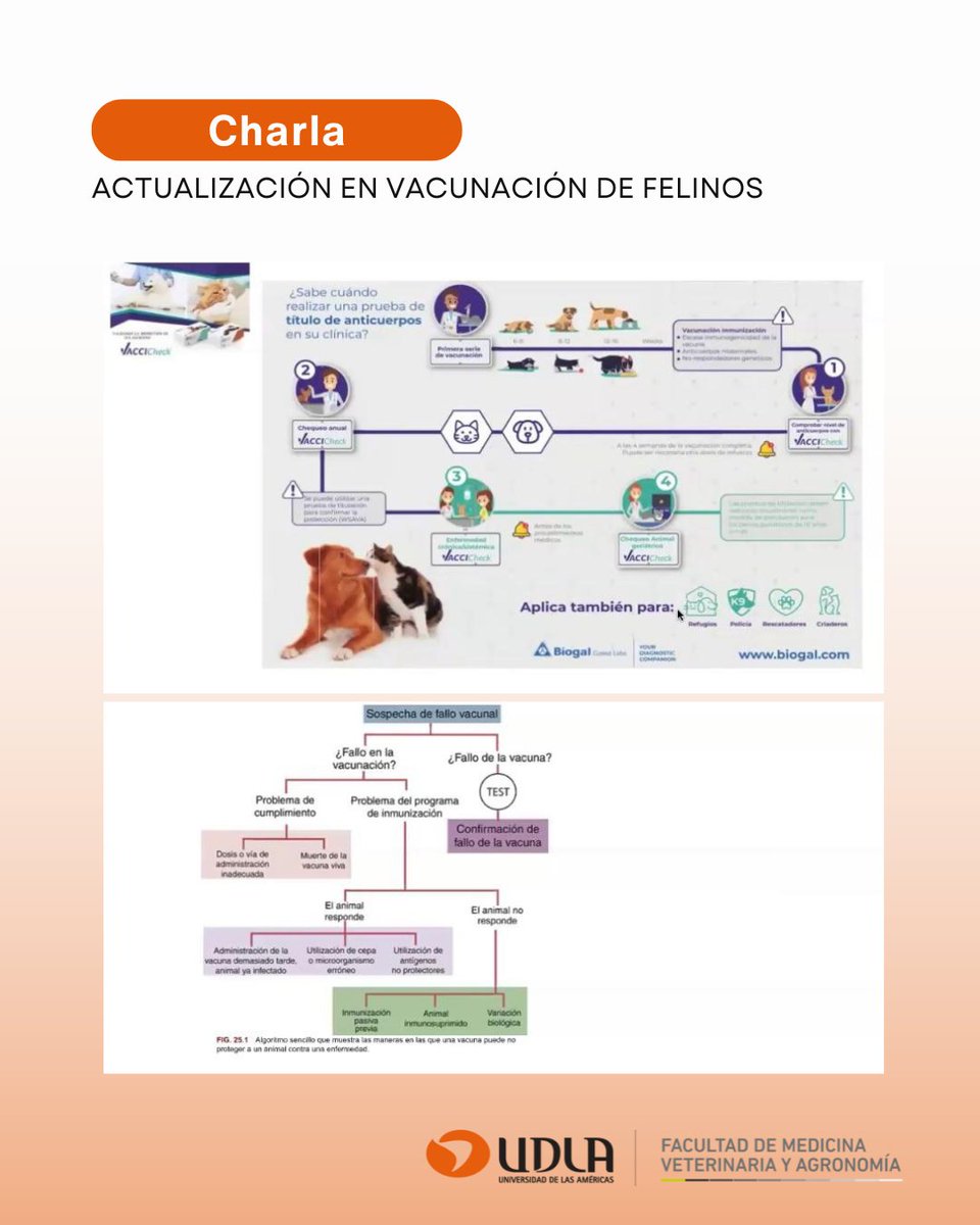 Se realizó la charla Actualización en Vacunación Felina, dictada por el académico Ignacio Troncoso, una instancia que reunió a profesionales, estudiantes y tutores interesados en profundizar en inmunización segura en gatos. 🐱💉

Nota: actualidad.udla.cl/2025/11/facult…

 #VacunaciónFelina