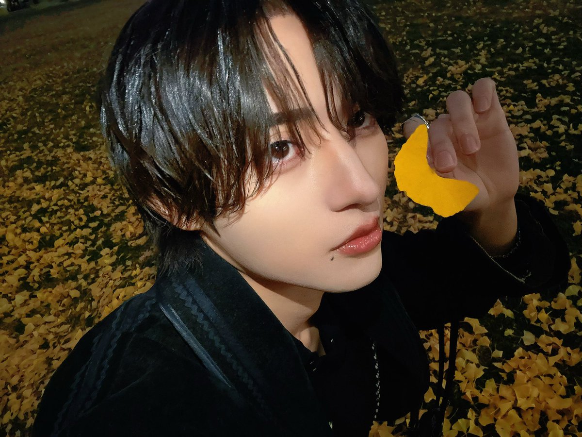 たろ (@taro_lvsk) / Posts / X