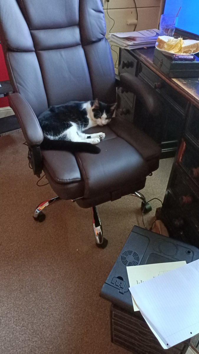 I got a new desk chair, which means Raul has a new throne 😂

#writingcommunity #catlovers #tuxedokitty