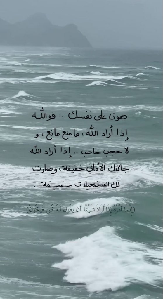 ¹⁷ tweet media