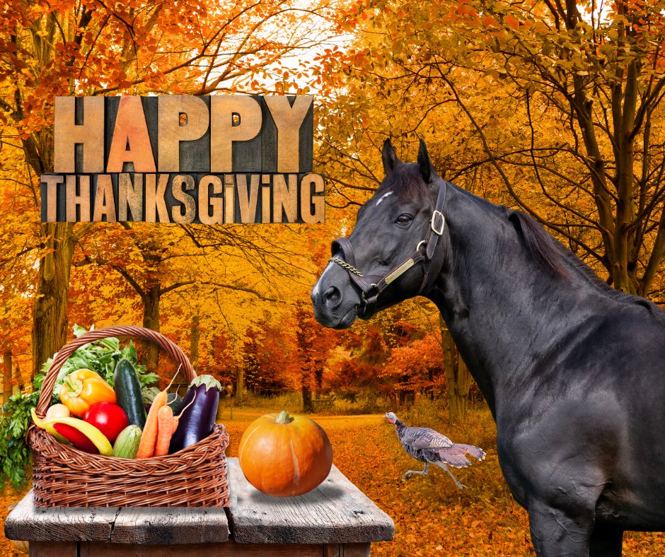 Happy Thanksgiving from the 
WAR DANCER Team.