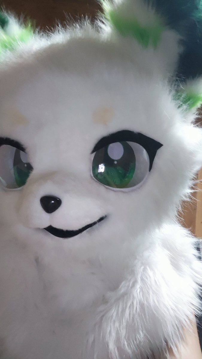 黑盐 (@whitesugar114) on Twitter photo 