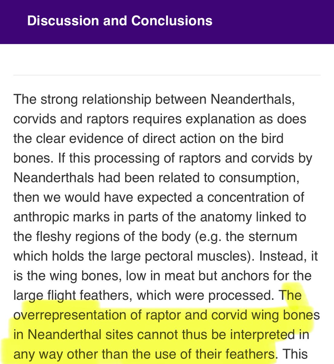In 2012, a study of bones in Neanderthal sites revealed that the long feathers of corvids and raptors had been used ornamentally.

#LegendaryWednesday
